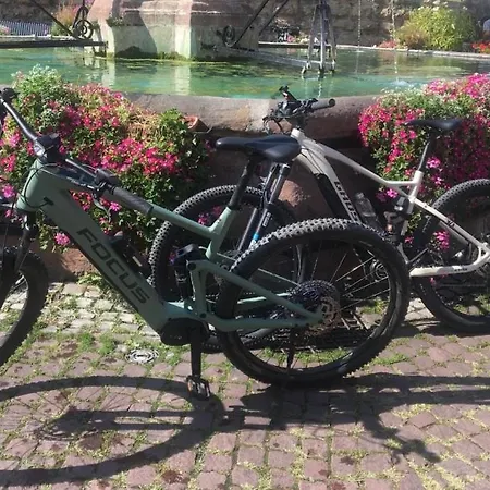 Tiny House - Terrasse - Garten - Wlan - Netflix - Ebikes - Parkmoeglichkeiten *