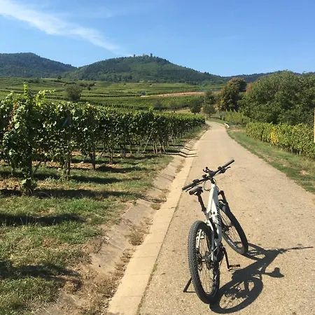 Tiny House - Terrasse - Garten - Wlan - Netflix - Ebikes - Parkmoeglichkeiten Taunusstein