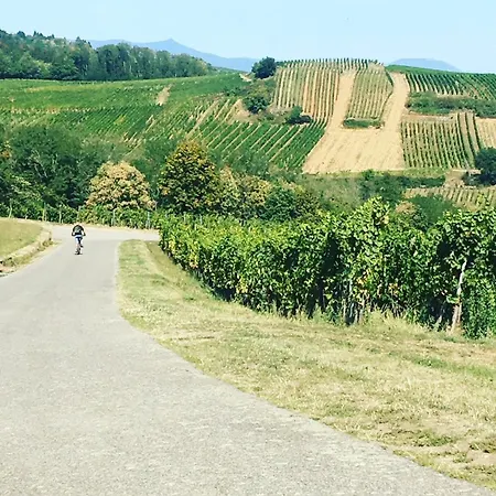 Apartment Tiny House - Terrasse - Garten - Wlan - Netflix - Ebikes - Parkmoeglichkeiten