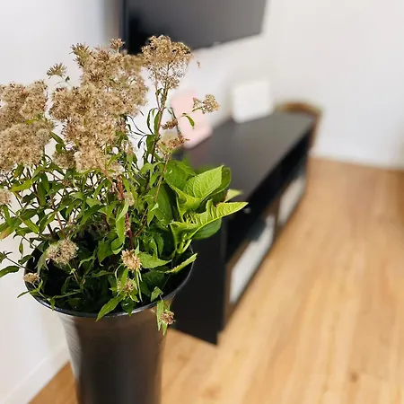 Apartment Tiny House - Terrasse - Garten - Wlan - Netflix - Ebikes - Parkmoeglichkeiten *