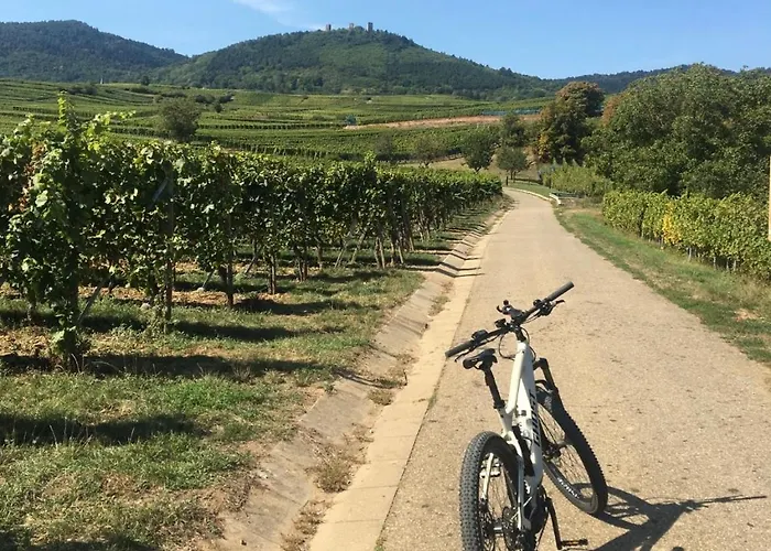 Tiny House - Terrasse - Garten - Wlan - Netflix - Ebikes - Parkmoeglichkeiten Taunusstein