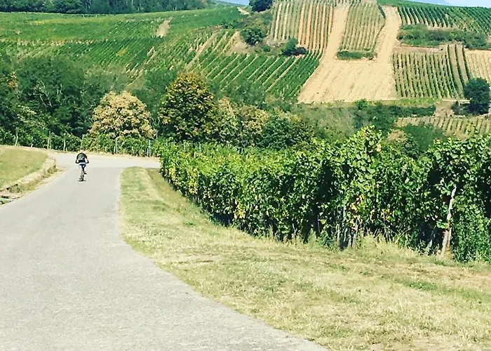 Appartamento Tiny House - Terrasse - Garten - Wlan - Netflix - Ebikes - Parkmoeglichkeiten