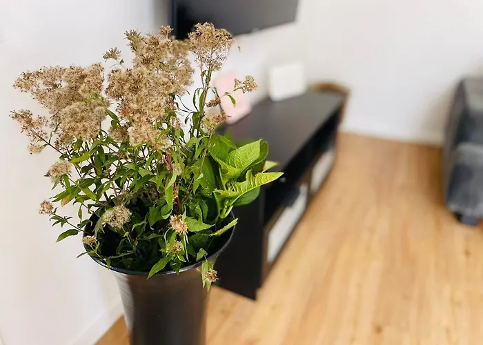 Appartamento Tiny House - Terrasse - Garten - Wlan - Netflix - Ebikes - Parkmoeglichkeiten *