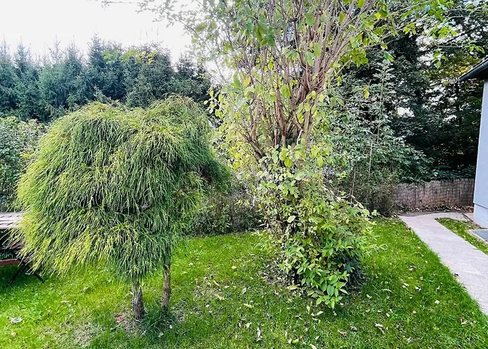 Tiny House - Terrasse - Garten - Wlan - Netflix - Ebikes - Parkmoeglichkeiten Appartamento Taunusstein